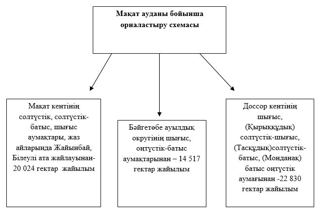 Жабайы жалаңаш африкалық әйелдер Тайпалық жыныстық оргиялар