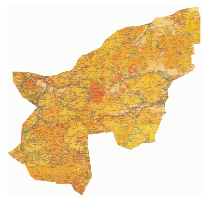 Анамның қылығын қараңыз