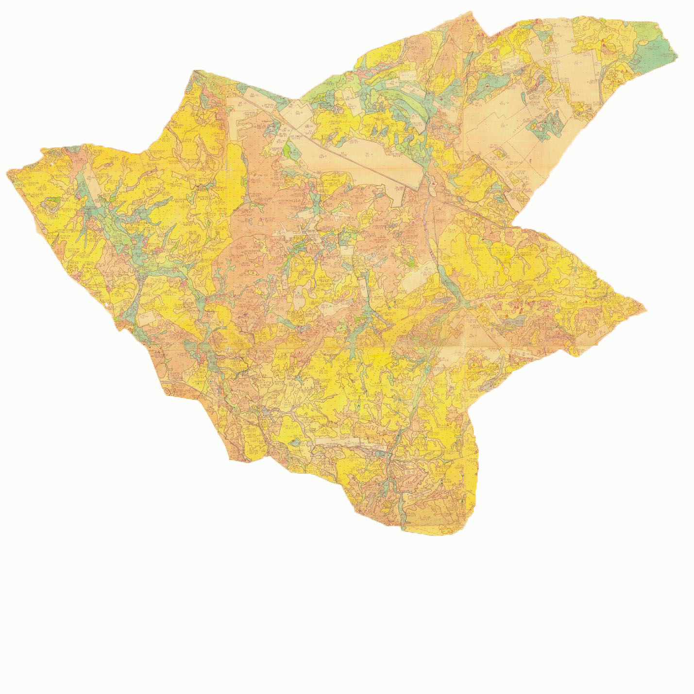 Порно және араб әйелімен жыныстық қатынас