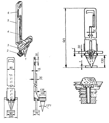 Карина Харчинскаяның жалаңаш суреті
