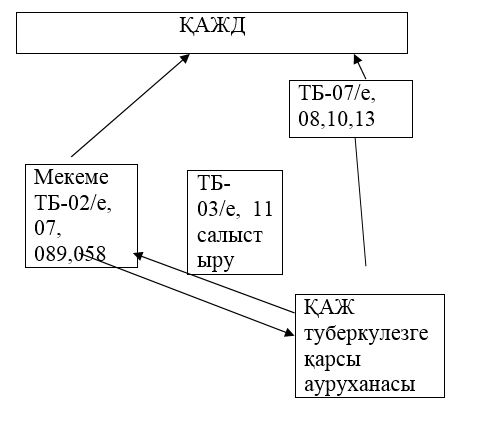 Порно бейне топтамасын онлайн көру