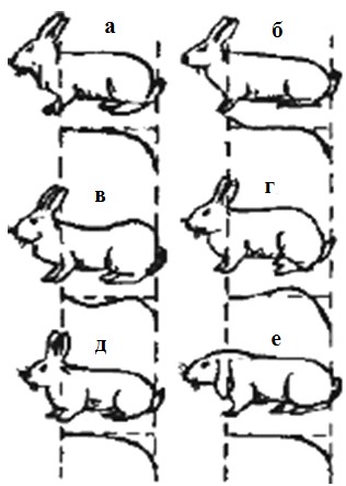 Қыздың қарап тұрған порносын қараңыз