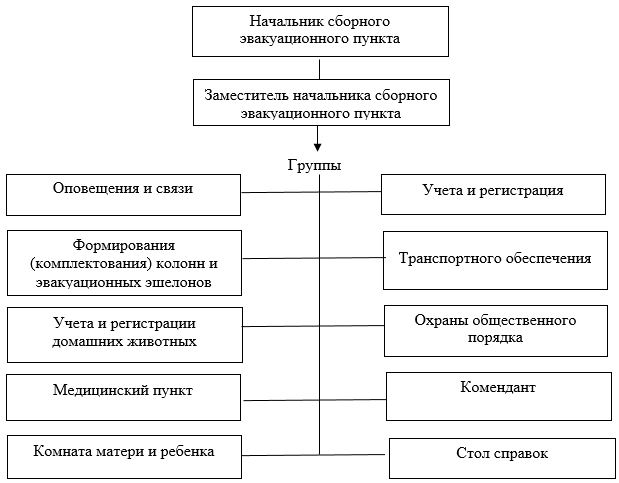 Структура сэп в виде схемы