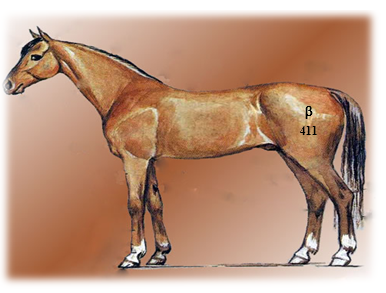 Әйелі карта бойынша қарызын өтейді.