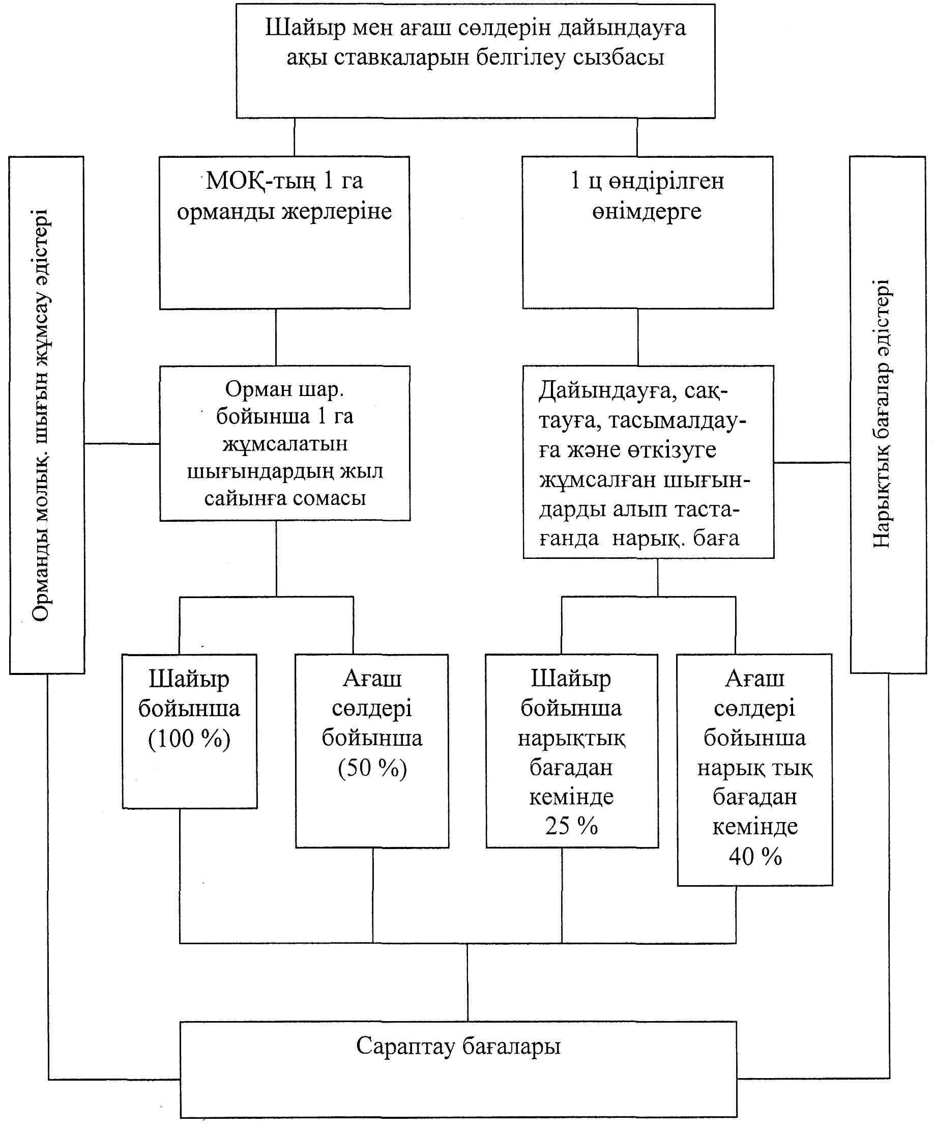 Ональді соққылар мен көкөністерді көрсететін порно видеолар