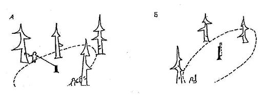 Балапан кискасына татуировка жасайды (видео)
