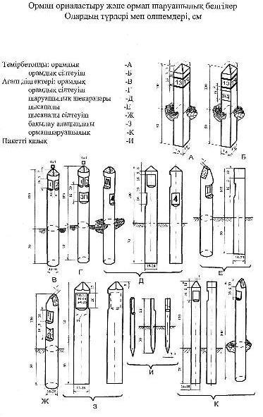 Үлкен кеуде сызбалары, фотосуреттер, суреттер