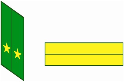 Қыз жігіттің жыныс мүшесін өлшейді