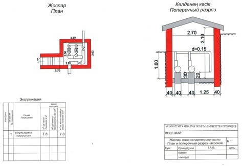 Желіде жыныстық қатынасқа түскен жастар
