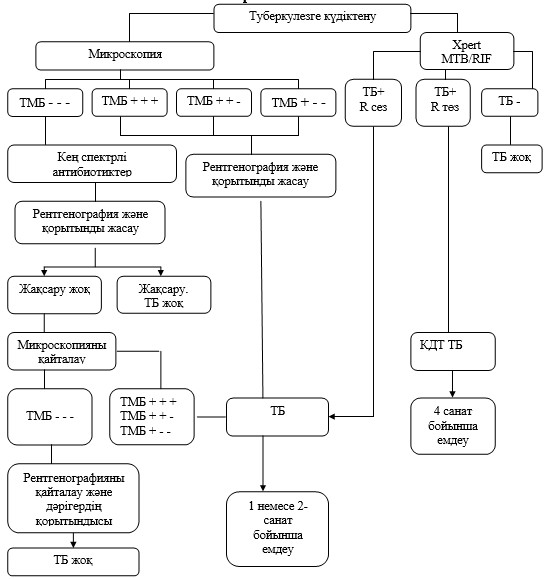 Жыныс үлгісіне бетті енгізіңіз