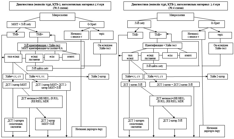 Порно: Ескі мұғалім студентті трахает