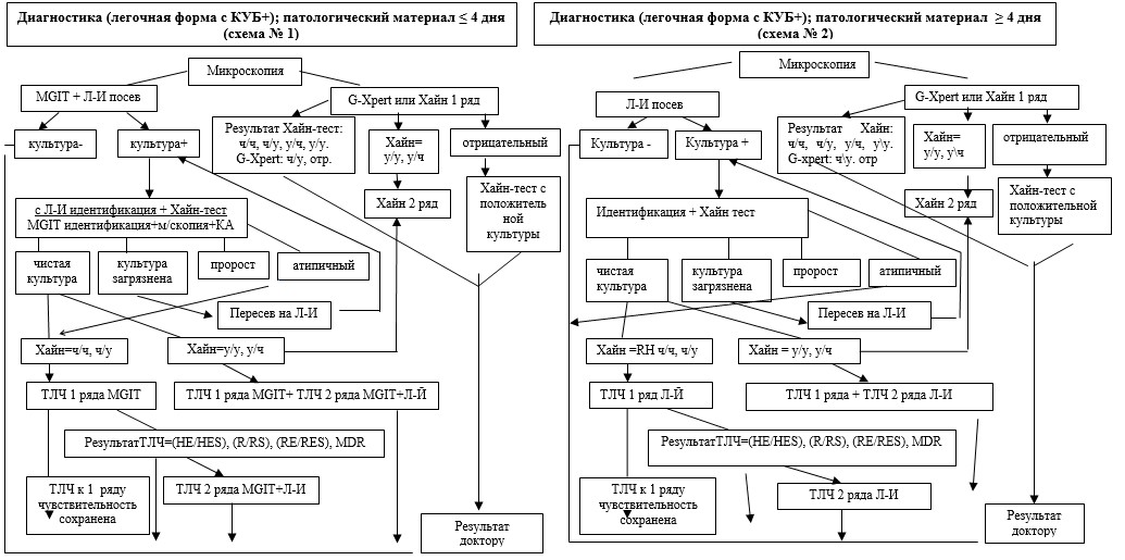 Бляшки на коже туловища с атрофическим центром