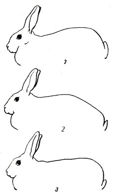 Автобуста юбка астынан қолмен жыныстық қатынас табылды жас ресейлік порно актриса